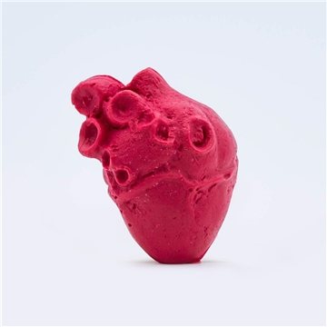 Pencil Top Stock Eraser - Anatomical Heart