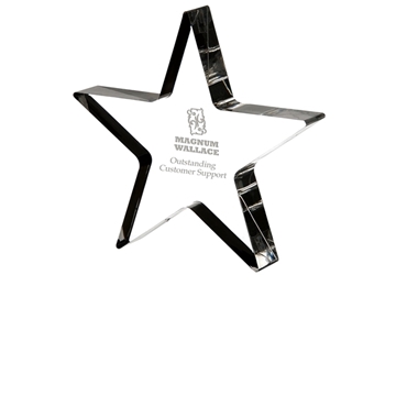 Acrylic Star Shape Award